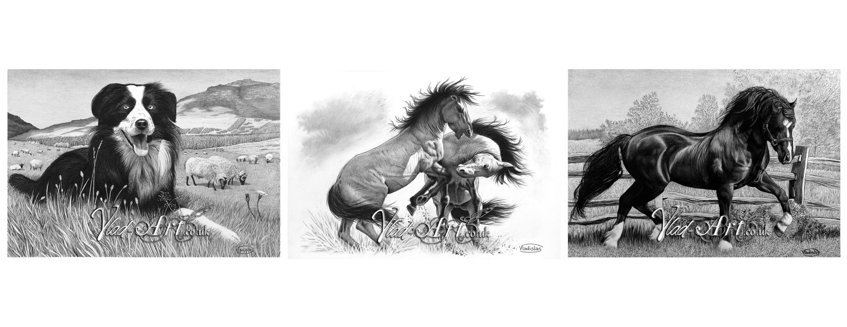 Limited Edition Pencil Drawings
