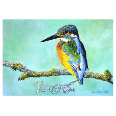 Kingfisher on a mossy twig