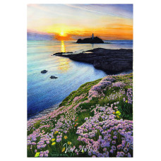 Thrift on cliff over Godrevy Point