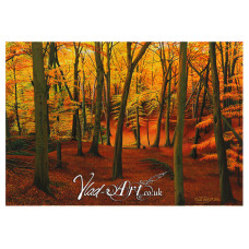 Autumnal beech woods Autumnal beech woods