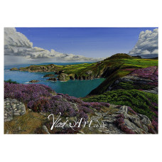Heather cliffs at Strumble Head, Pembrokeshire Heather cliffs at Strumble Head, Pembrokeshire