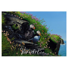 Puffins on Skomer Island, Wales