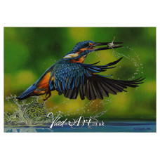 Kingfisher after a catch