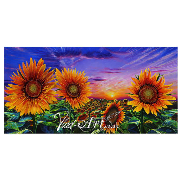Sunflower Sunset Sunflower Sunset