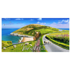 Mwnt Panorama