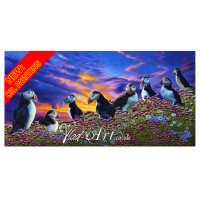 Puffin Sunset on Skomer island Oil Painting Puffin Sunset on Skomer island Oil Painting