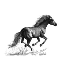 Running wild mustang