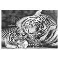 Tigress preening her cub 