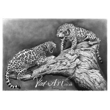 Growling Jaguars