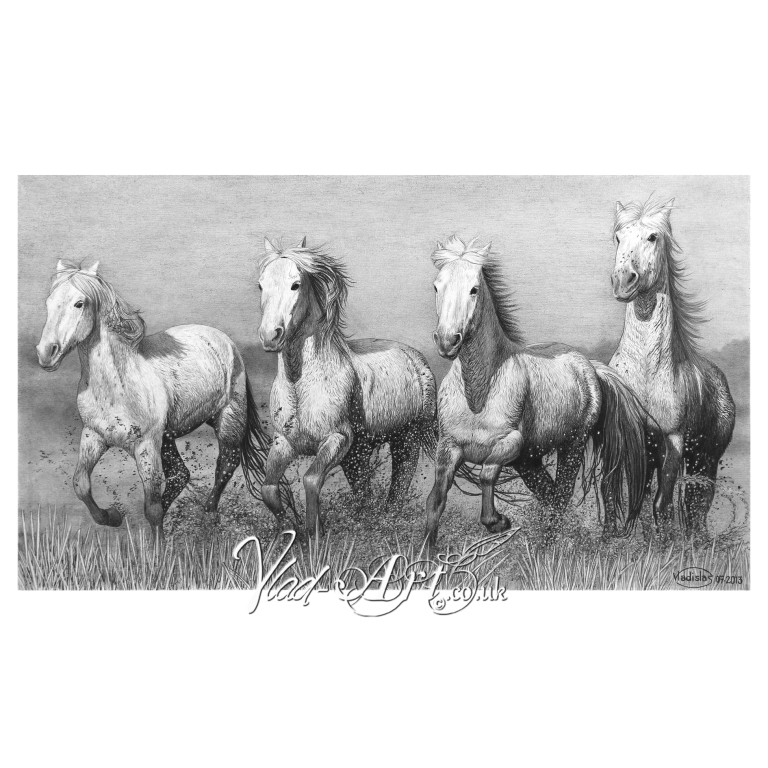 Camargue Wild horses Camargue Wild horses